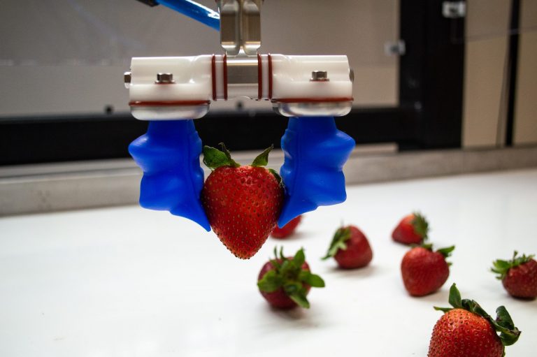 soft robotics pour la manipulation de produits délicats.